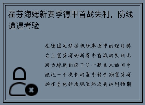霍芬海姆新赛季德甲首战失利，防线遭遇考验